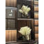 Orchid Arrangement in Vase