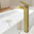 Brushed Gold is out of stock selected