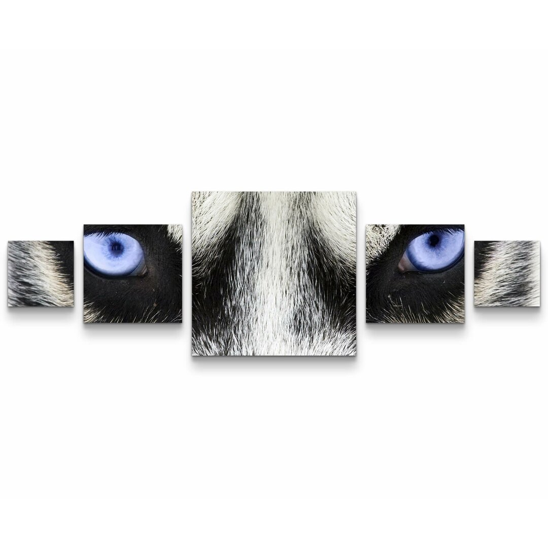 5-tlg. Leinwandbilder-Set Strahlend blaue Augen eines Hundes