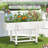 Ethelle Movable Raised Garden Beds Outdoor With Lockable Wheels-2120802153-2120802151