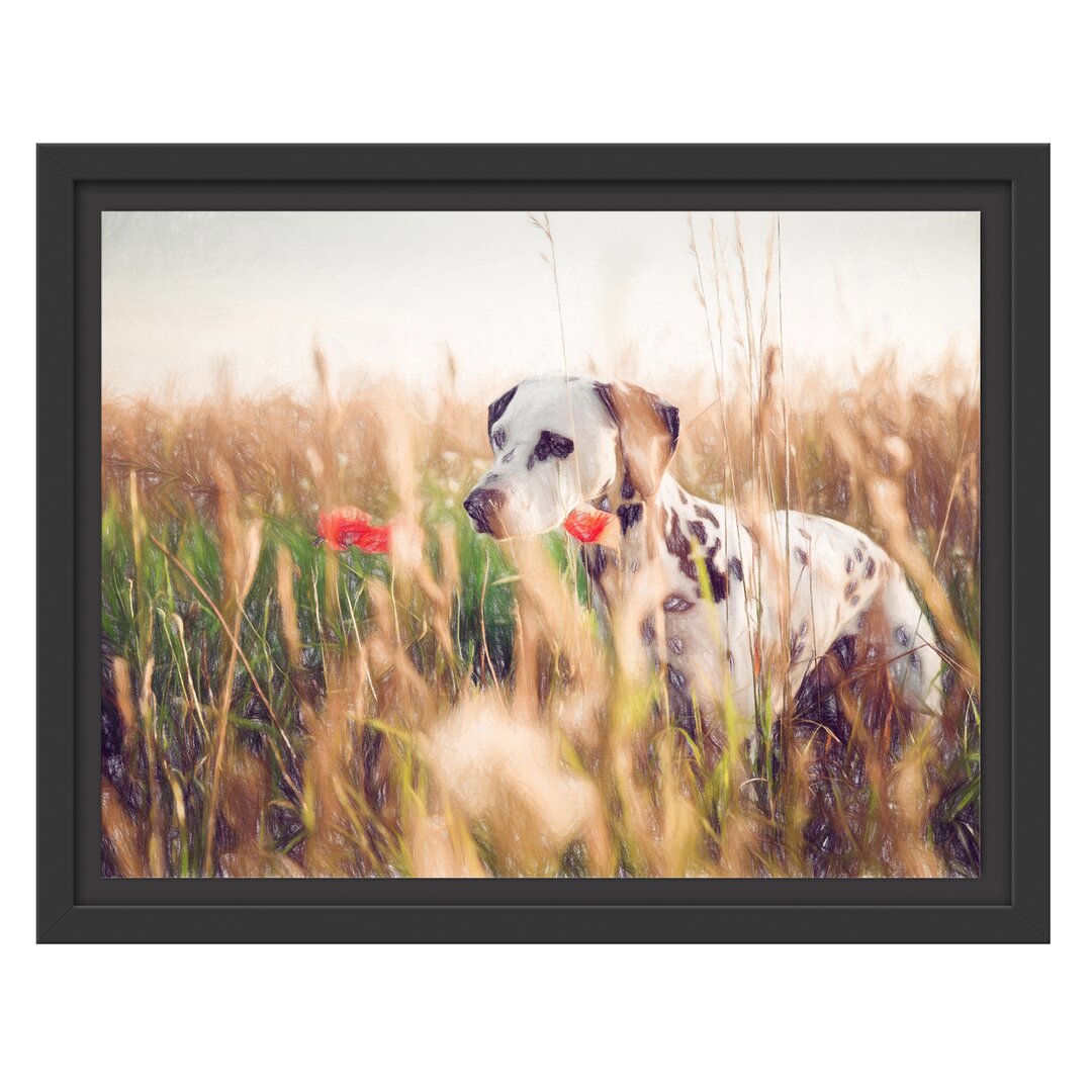 Gerahmtes Wandbild Neugieriger HundFeld