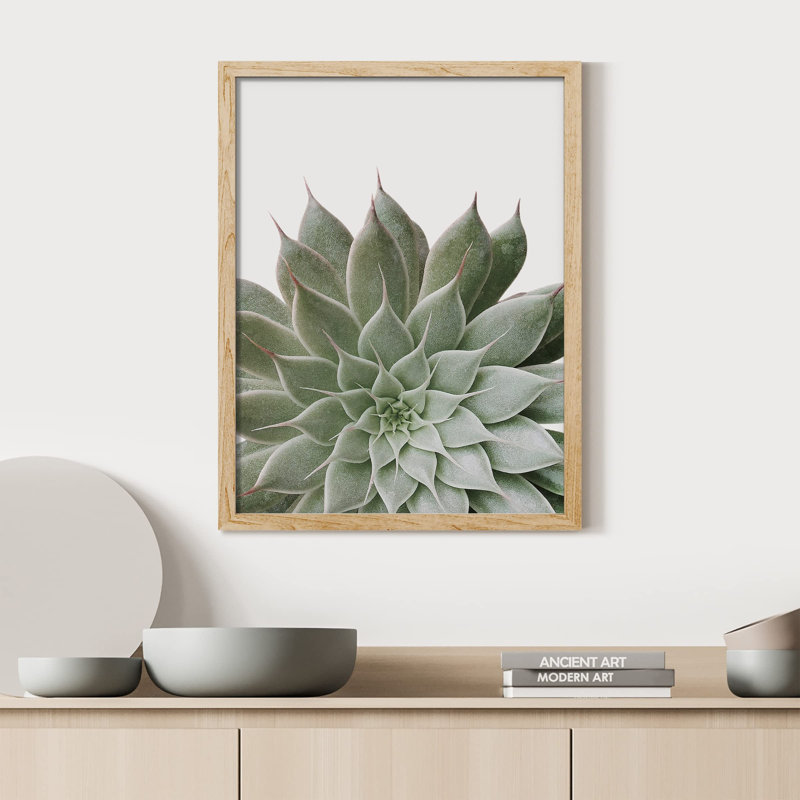«Desert Succulent Close Up Echeveria Green Flower» sur papier, Naturel, H 16 po x l 12 po