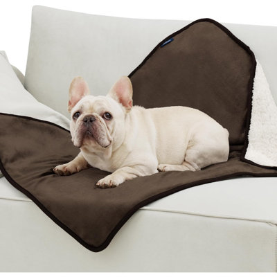 Flannel Pet Blanket