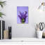 Lupin sur lilas