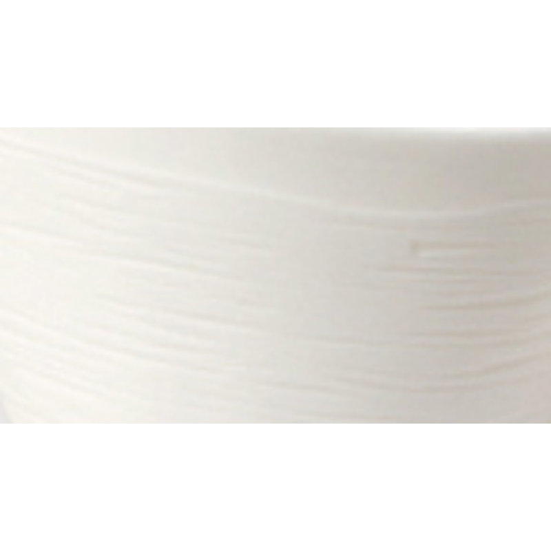 Porcelain Teacup, 4
