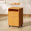Danby 40cm Wide 1 -Drawer File Cabinet-506802052