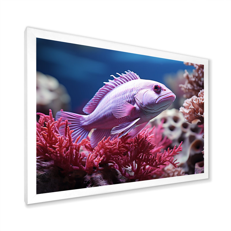 «Purple Fish Dance In Coral» sur toile, Cadre simple blanc, H 24 po x l 32 po x P 1 po