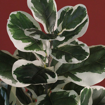Faux Ficus Plant in Planter