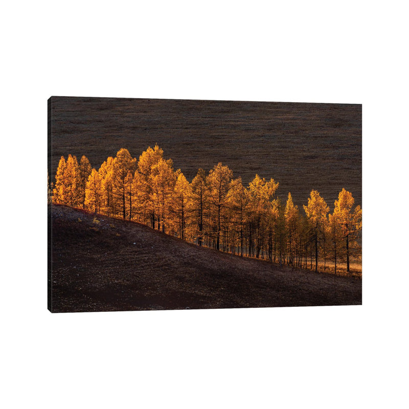 Sunset Light by Haim Rosenfeld - Wrapped Canvas Print, 20.32 cm H x 30.48 cm W