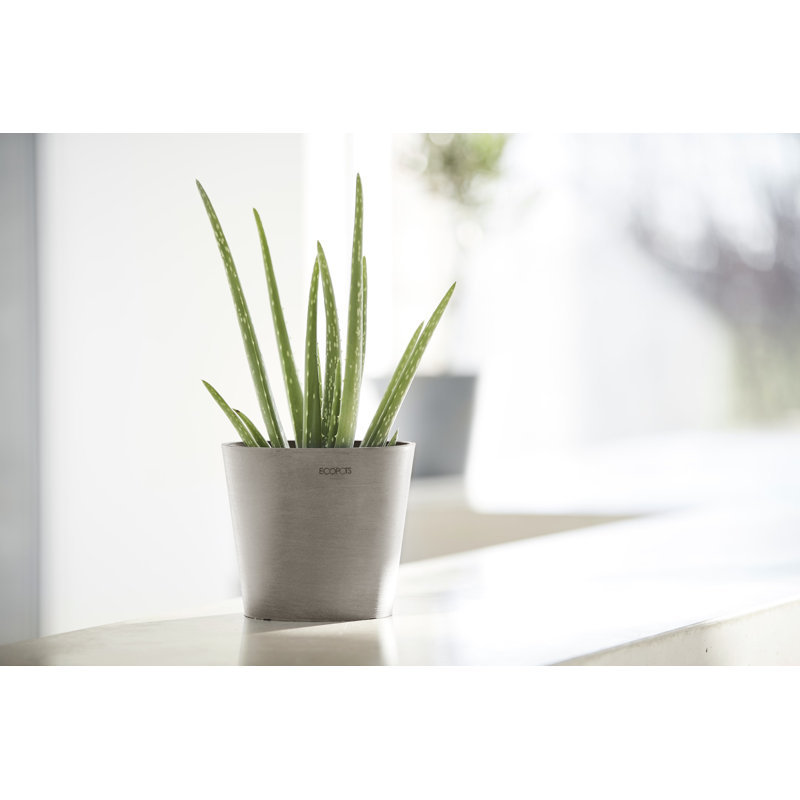 Ecopots Indoor/Outdoor Modern Round Recycled Plastic Planter Flower Pot, Pure White, 3.14" H x 4.13" W x 4.13" D, No