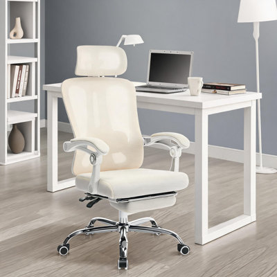 Hobbylane Office Chair