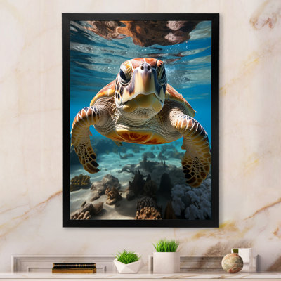 " Turle Marine Life Encounter II "
