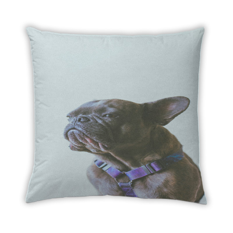 Coussin Dogs Dogs 12, Microsuède