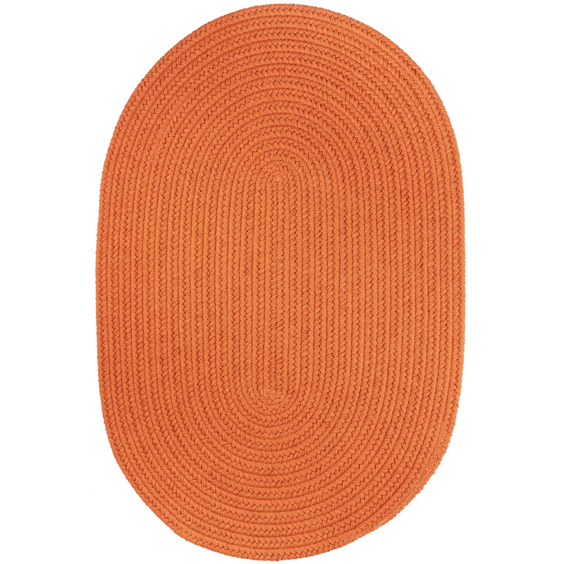 Tapis décoratif d’intérieur/extérieur orange tressé à la main Smyth, Ovale 10 pi x 13 pi