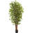 72 " H Faux Olive Tree in Plastic Pot