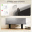 Accent Chest