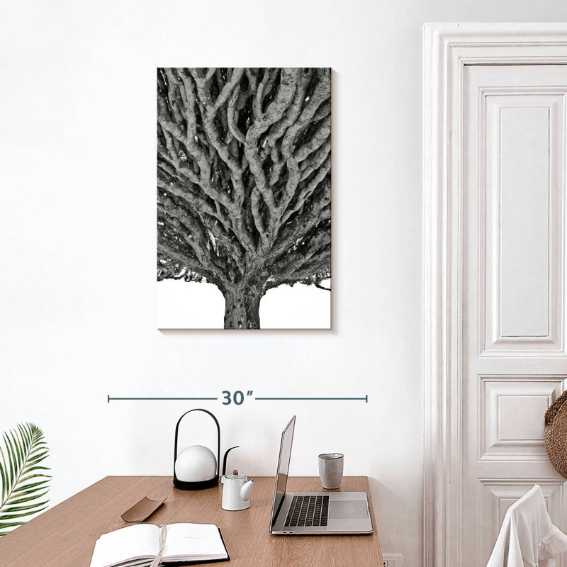 Harnek Monochrome Dragon Tree, 30" H x 20" W