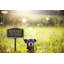 Beware of Dog Garden Sign-920676955