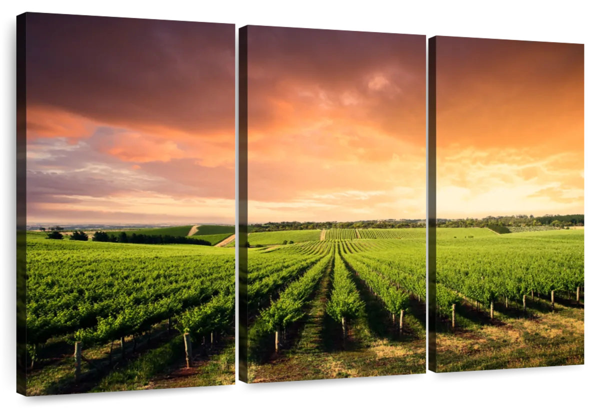 Millwood Pines Alvord Vineyard Sunset Horizon | Wayfair