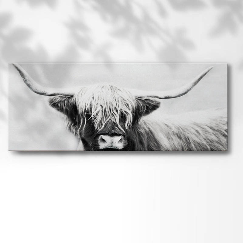 Highland Longhorn sur impression sur toile, H 20 po x l 50 po x P 1,5 po