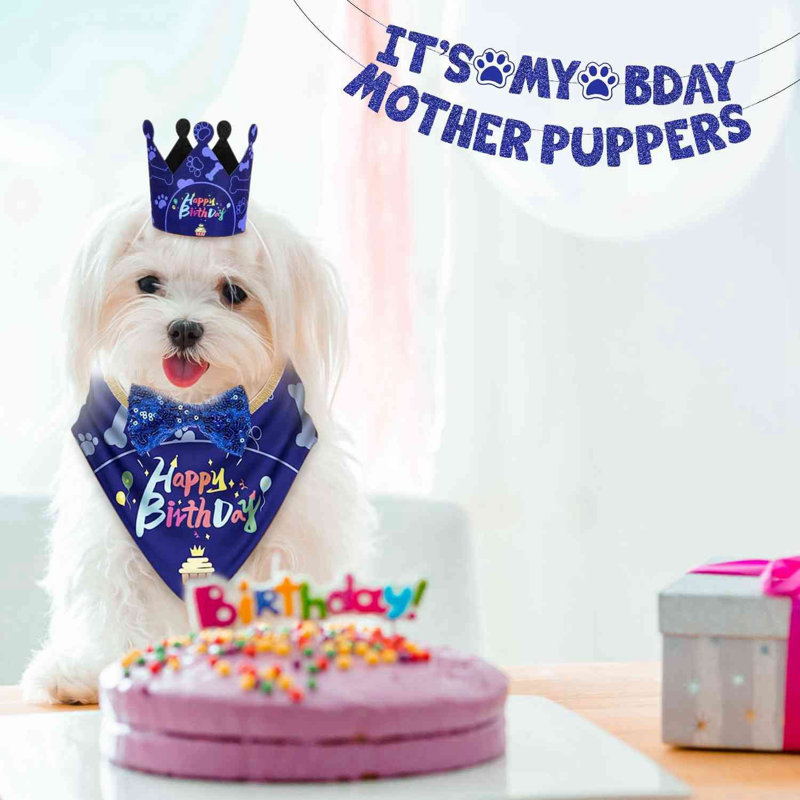 Ensemble de chapeaux Dog Birthday Bandana