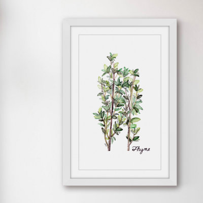 " Herb Thyme " by Rachel Byler