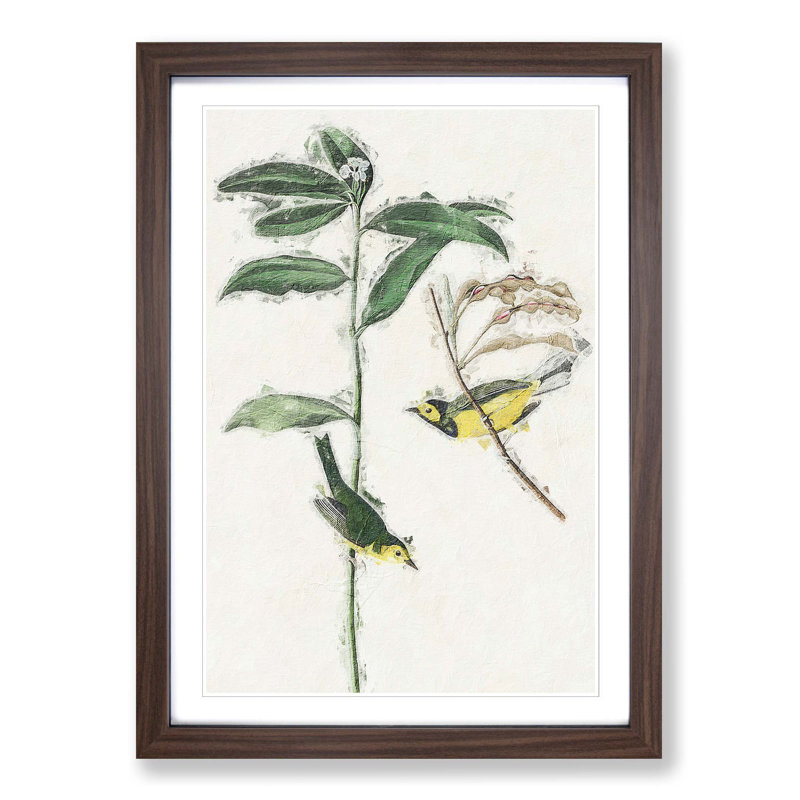 Hooded Warbler Birds by John Audubon - Picture Frame Painting Print, 65cm H x 48cm W x 2cm D, Walnut Framed
