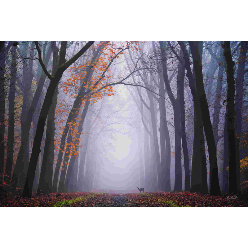 Cerf dans le brouillard, H 20 po x l 30 po, Non, Cadre simple érable érable