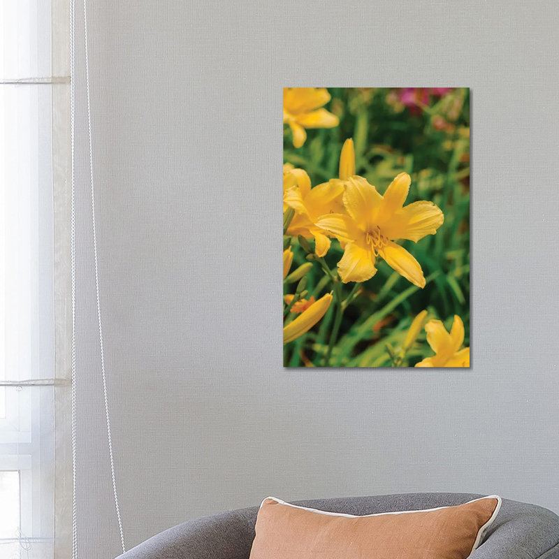Daylily Garden IV par Bethany Young - Estampe numérique sur toile tendue avec châssis, H 26 po x l 18 po x 1,5 po