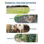 Galvanized Wire Cattle Farm Fence, 14GA Heavy Zinc Coating Livestock Fencing for Goat, Deer & Animals, 1.5x50M, Silver-129674572