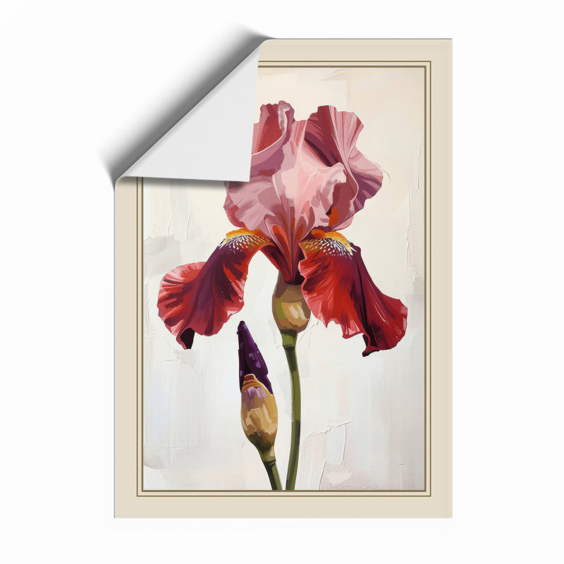 Iris In Rose Botanical - Print, Unframed, A3 - 42.0 x 29.7 cm