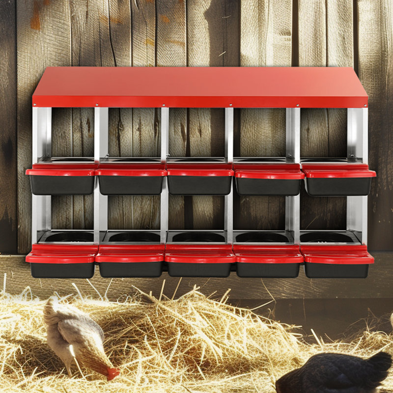 10-Compartment Chicken Nest Box Mental Box with Inclined Nesting Boxes