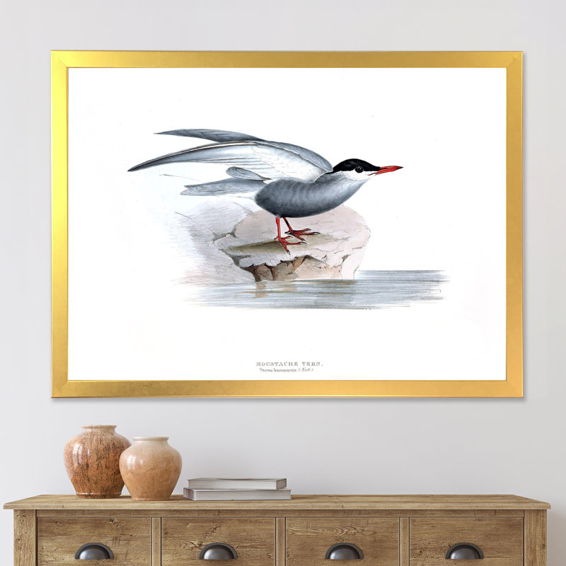 Oiseau rétro de l'Europe I - peinture sur toile, H 12 po x l 20 po x p 1 po, Cadre doré