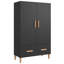 Lonnisha 2 - Door Accent Cabinet-1837878311