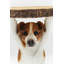 Side Table Animal Mr. Jack 33cm