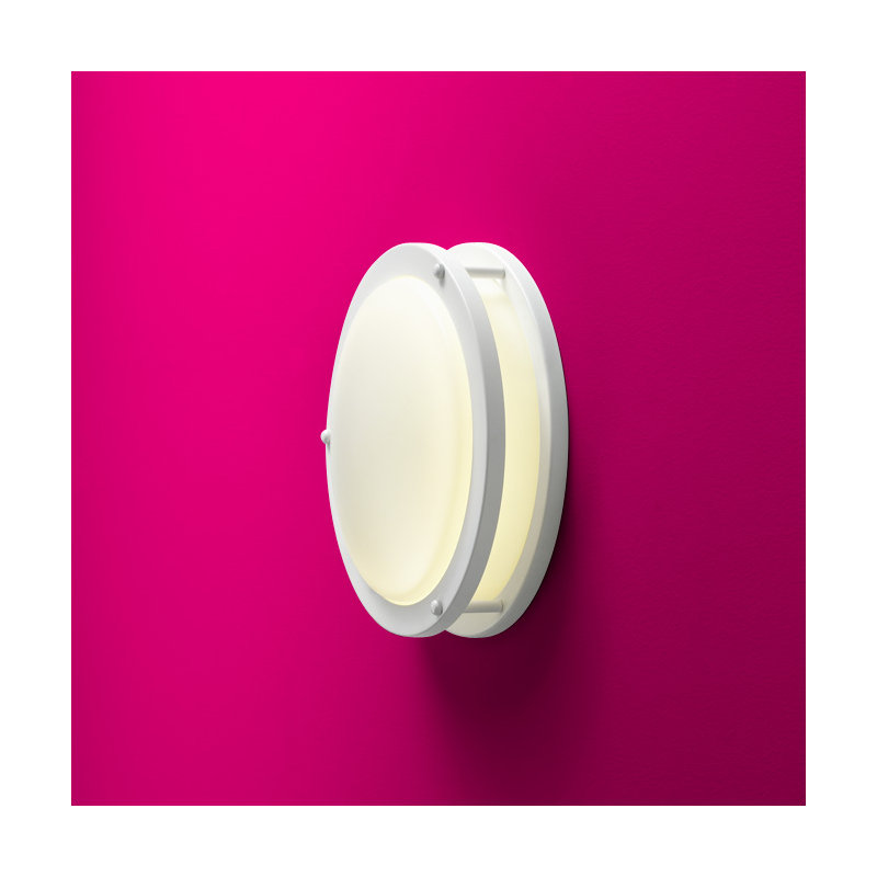 Oracle Wall Light