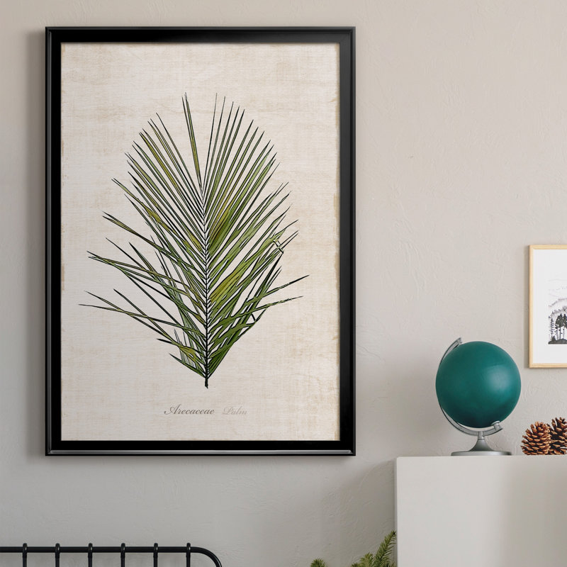 Palmier botanique I - impression, H 30,5 po x l 42,5 po x P 1,5 po, Noir