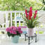 Support pour plante Dejona