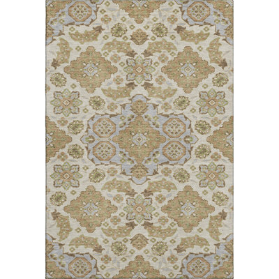 Premium Machine Washable Xamiera AMF1853 Global Rug