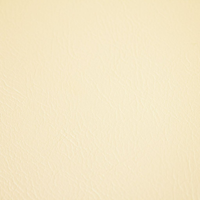Tissu classique en vinyle Fortitude Performance, Opalescent