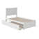 Flagg Solid Wood Platform Bed with Footboard and Trundle