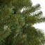 Arbres de noël