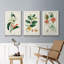 Turpin Tropical Botanicals IV, ensemble de 3 toiles encadrées-97945904-97945905