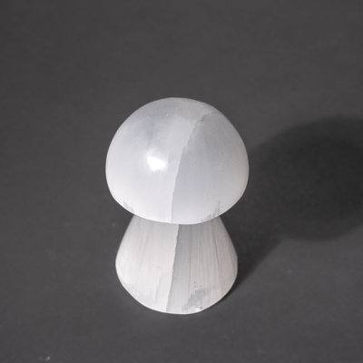 Véritable champignon Reiki en cristal de sélénite poli véritable (grand)