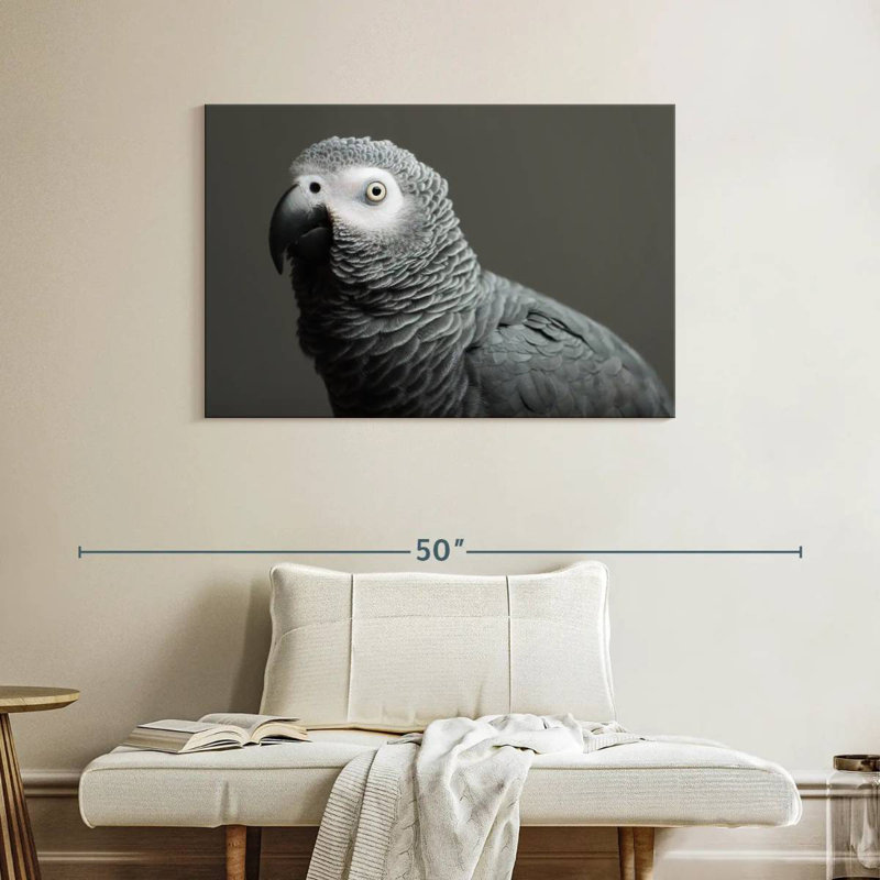 Perroquet jaco, H 26 po x l 39 po