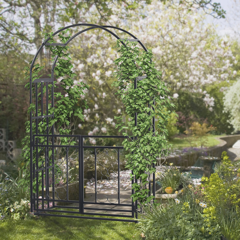 Tonnelle de jardin polyvalente en métal pour diverses occasions et croissance des plantes