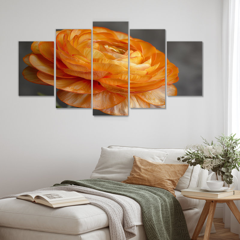 Orange And Black Ranunculus Bloom I - Ranunculus Wall Decor Set