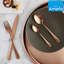 Amefa TREND 18/10 Stainless Steel Cutlery Set 24 Piece for 6 People-42038335
