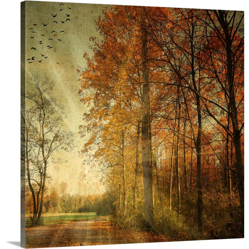 « ray automne », reproduction de photo sur toile, H 20 po x l 20 po x P 1,5 po