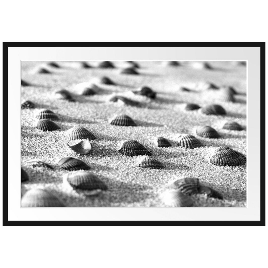 Muscheln im Sand Gerahmter Fotokunstdruck Poster